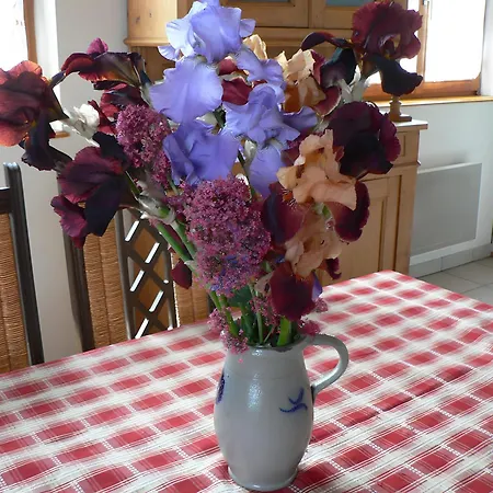 Les Iris Semesterbostad