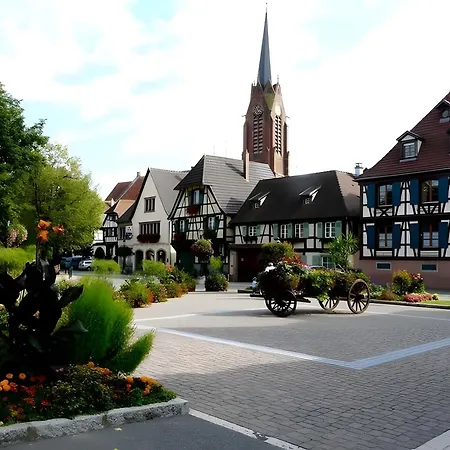 度假居 Les Iris Scherwiller